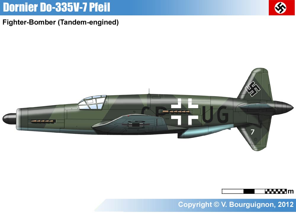 p5.jpg