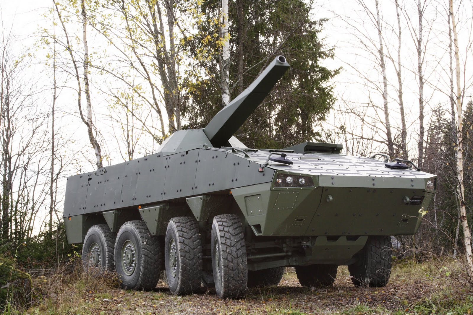 AMV%252Band%252BNemo-Patria.jpg