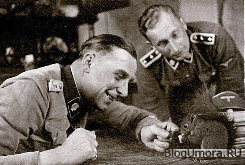Reinhold%2BL%C3%B6w%2Bplaying%2Bwith%2Bsquirrel%2Bnazi%2Btotenkopf%2Bofficer%2Bwehrmacht%2Bwaffen-ss%2Banimal%2Bhuman%2Bfeeding2.jpg