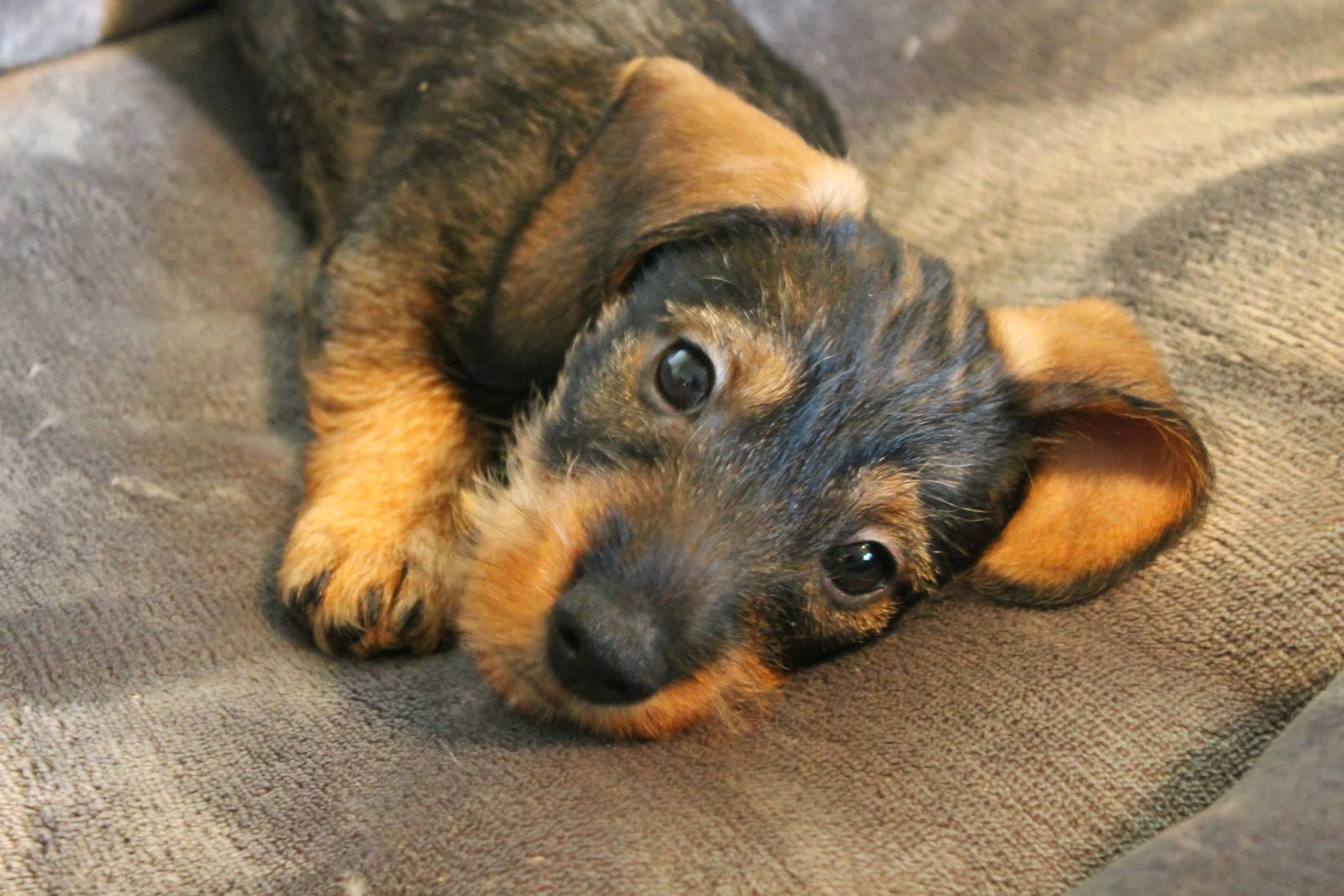 Related image Related image