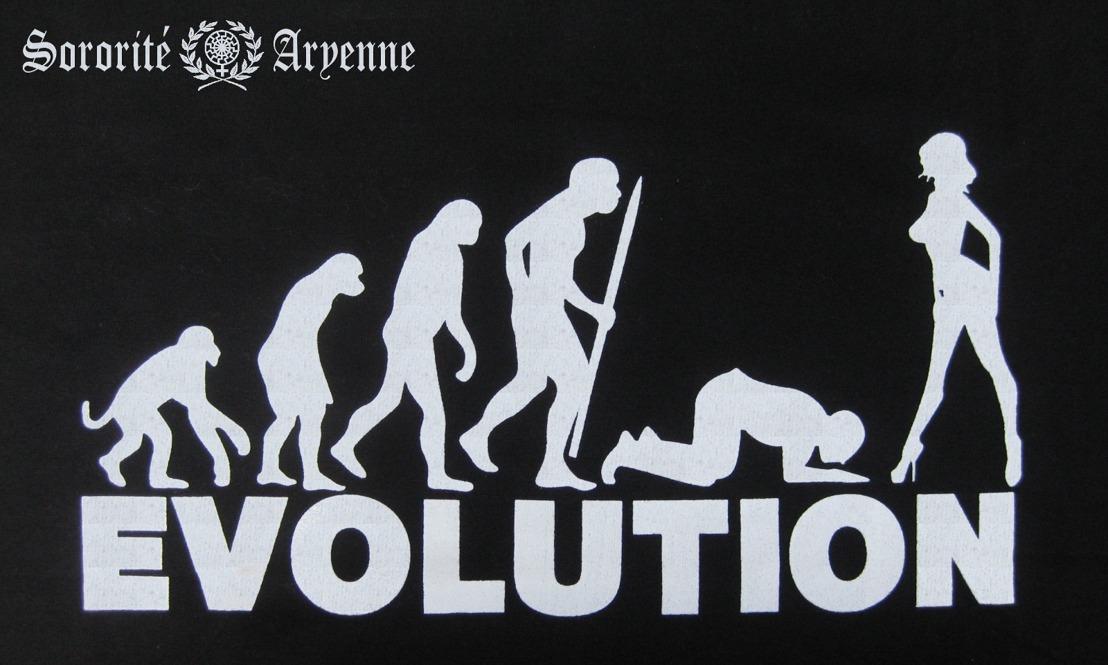 un_autre_darwinisme_by_carole_ravereaud-d6lrx6r.jpg