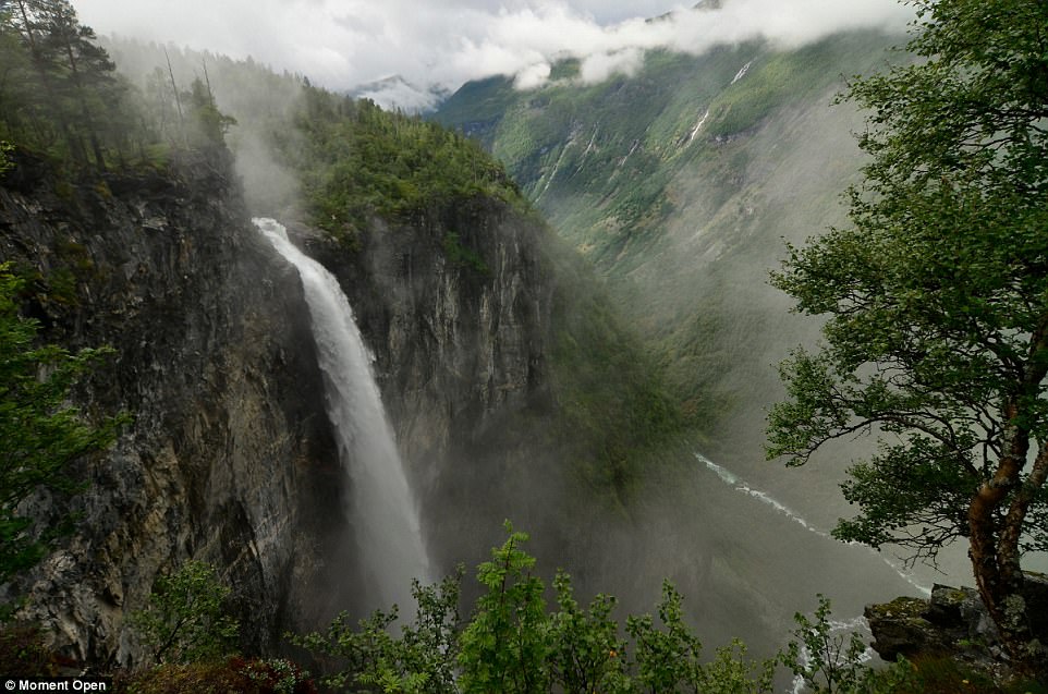 3FEF3E2700000578-4473576-Stunning_view_A_waterfall_pictured_in_the_misty_forest_of_Vettis-a-4_1493995826223.jpg