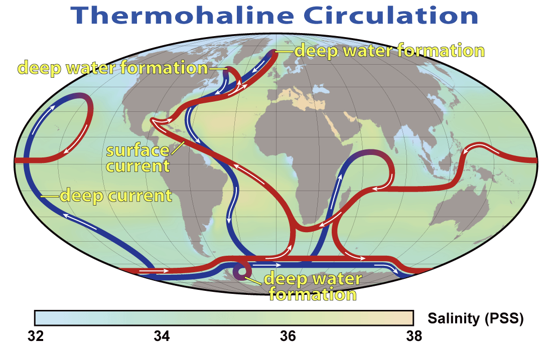 Thermohaline_Circulation_2.png