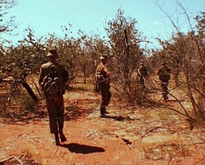 300px-SADF-Operations_4.jpg