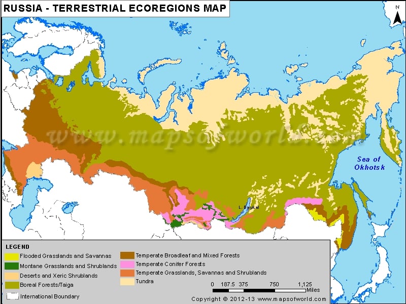 russia-terrestrial-ecoregions-map.jpg