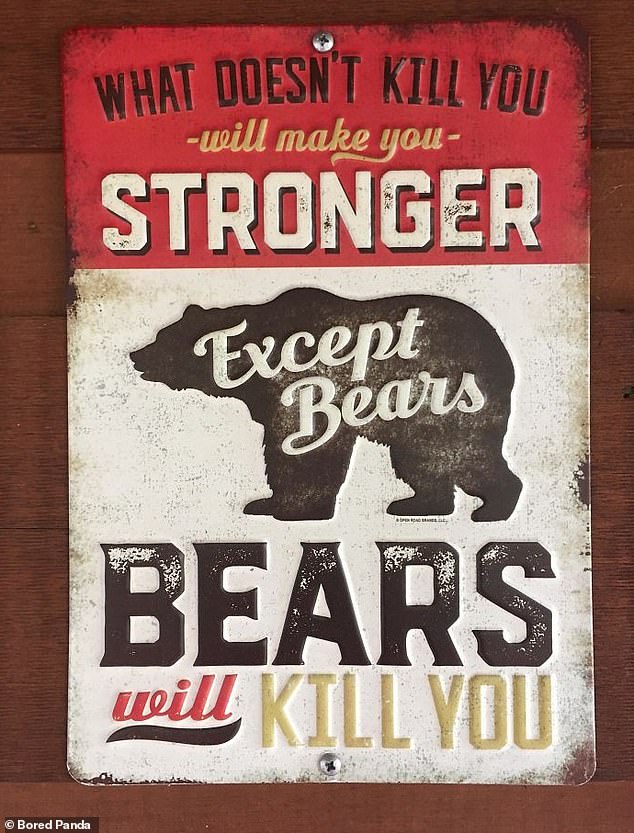 One creative sign, in an unknown location, tells it straight when it comes to nature and that 'what doesn't kill you makes you stronger, except bears'