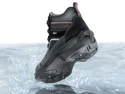 99f3d595-342b-381f-8234-acb630cb7363