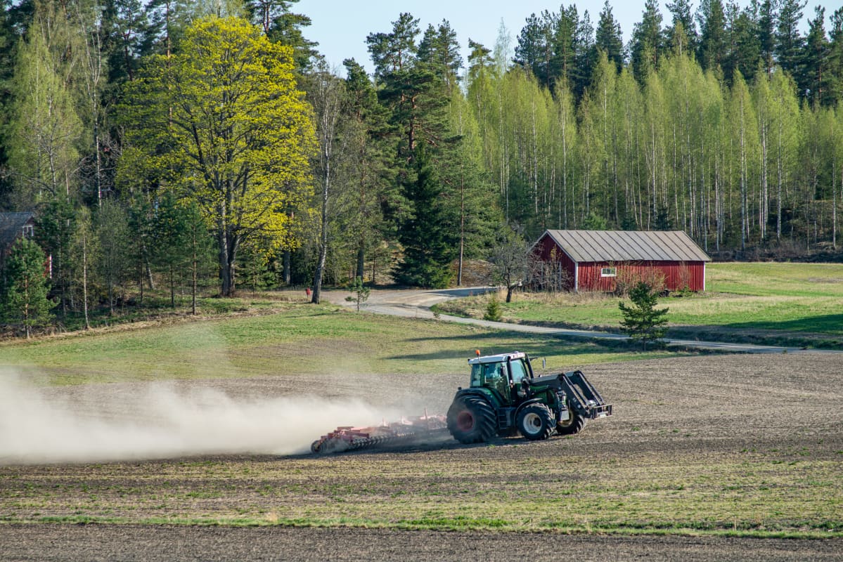 Traktori kyntämässä peltoa keväällä.
