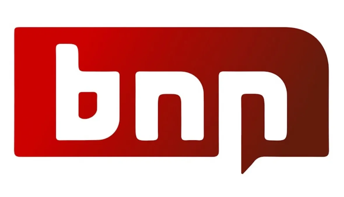 bnn.network