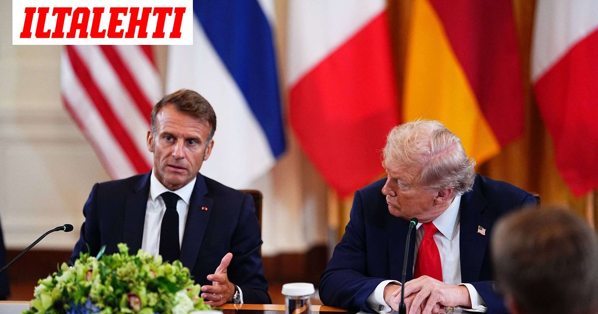 www.iltalehti.fi
