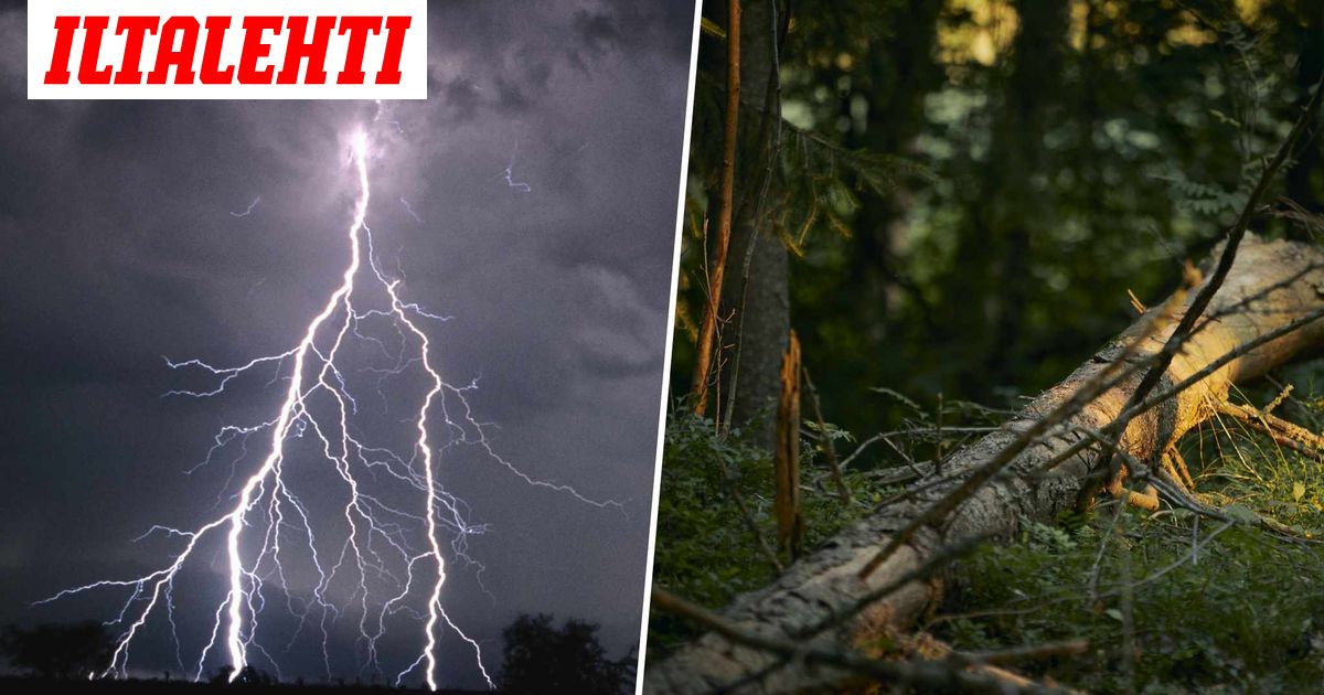 www.iltalehti.fi