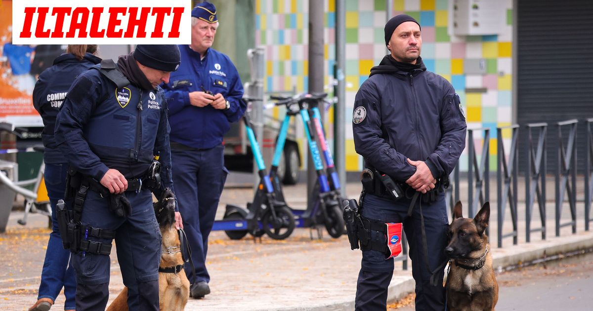 www.iltalehti.fi