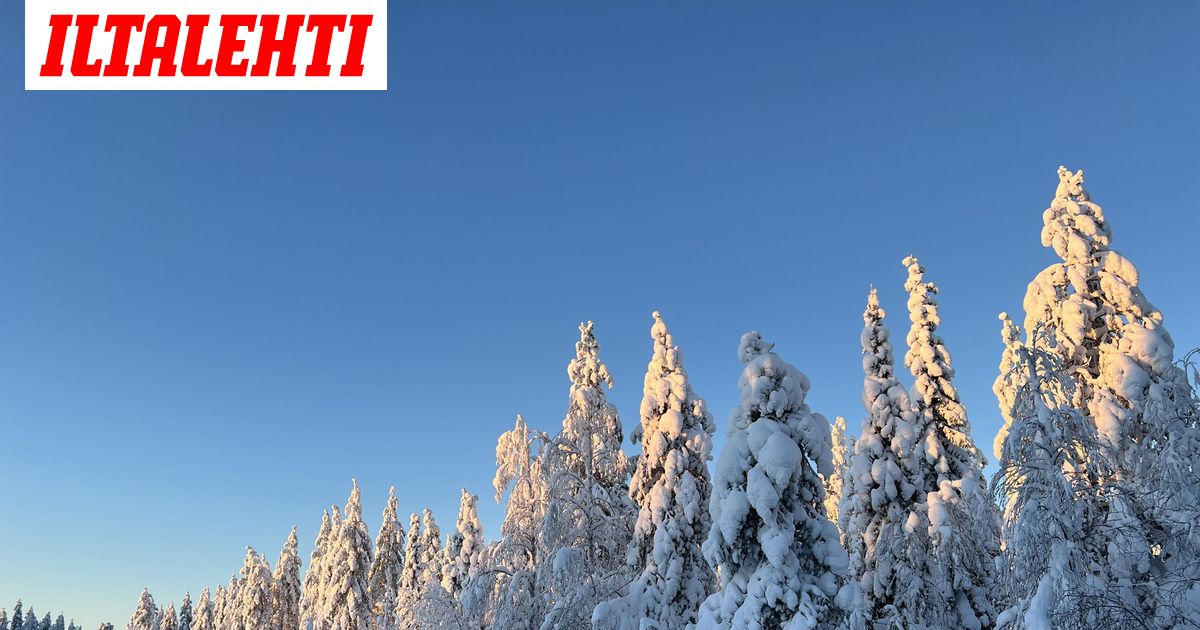 www.iltalehti.fi