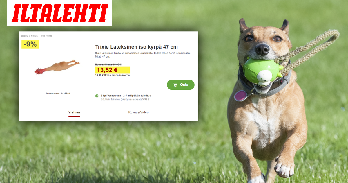 www.iltalehti.fi