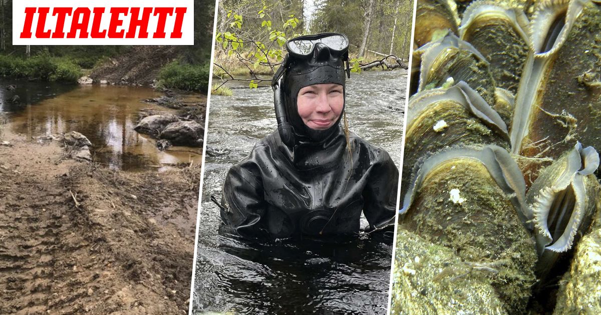 www.iltalehti.fi