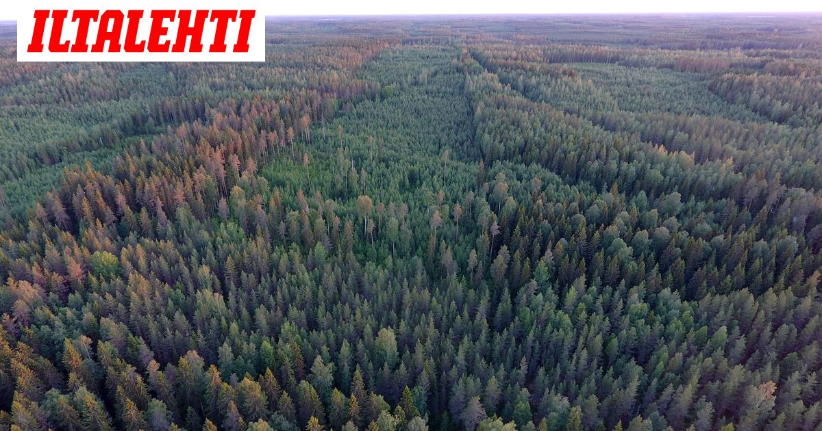 www.iltalehti.fi