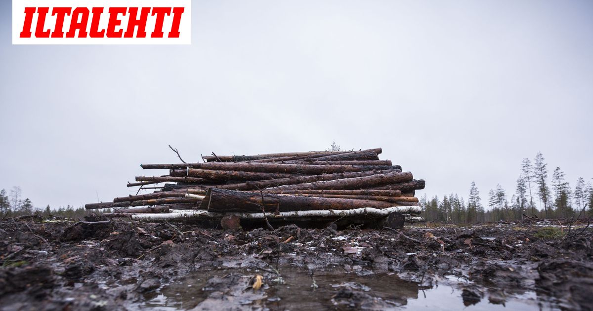 www.iltalehti.fi