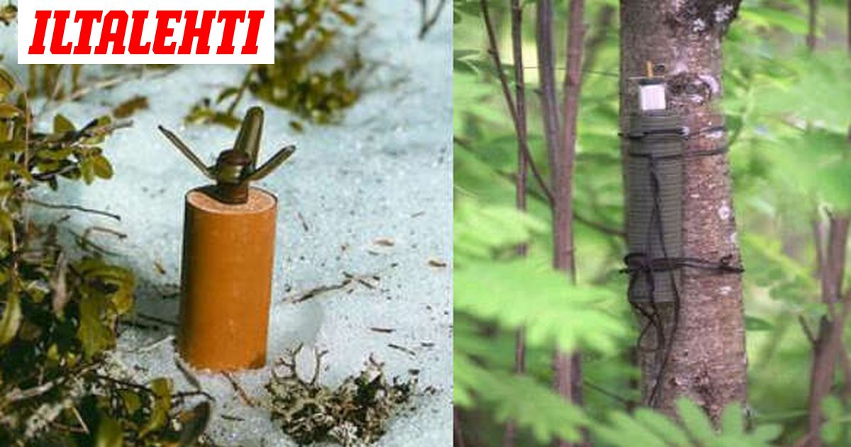 www.iltalehti.fi