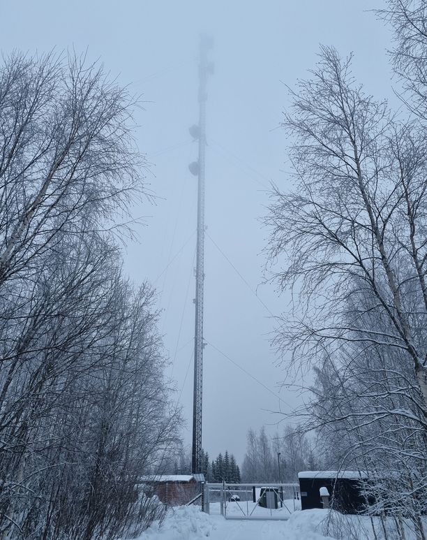 Varastohallin lähimaastosta löytyvän telemaston on kerrottu välittävän Puolustusvoimien viestiliikennettä. Varastohallin lähimaastosta löytyvän telemaston on kerrottu välittävän Puolustusvoimien viestiliikennettä.