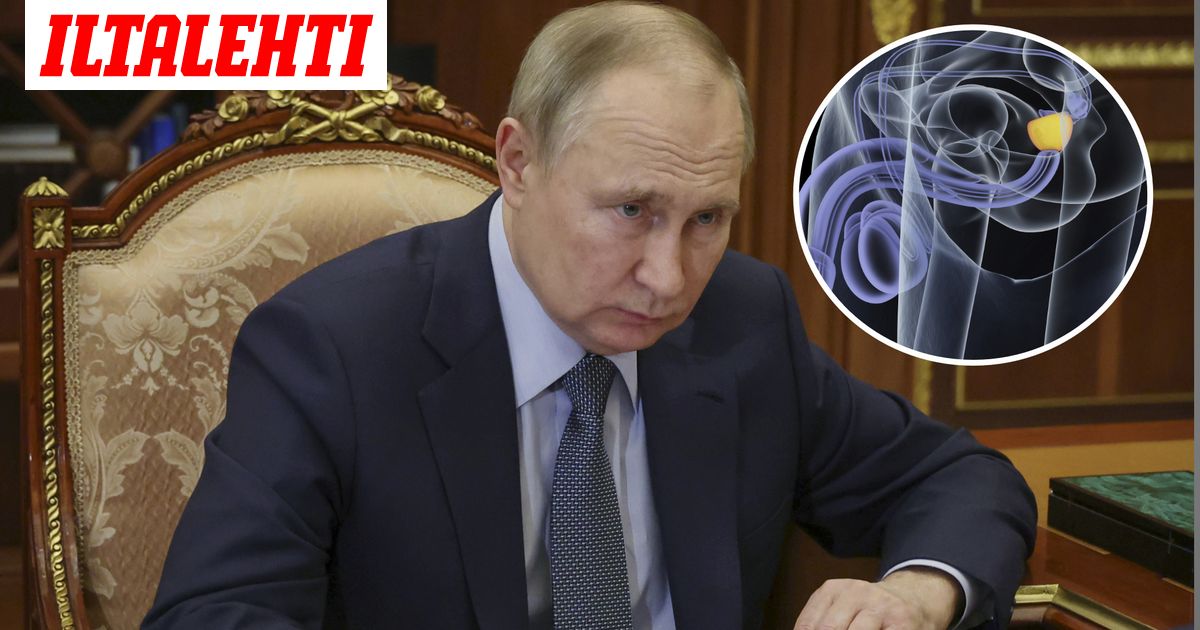 www.iltalehti.fi