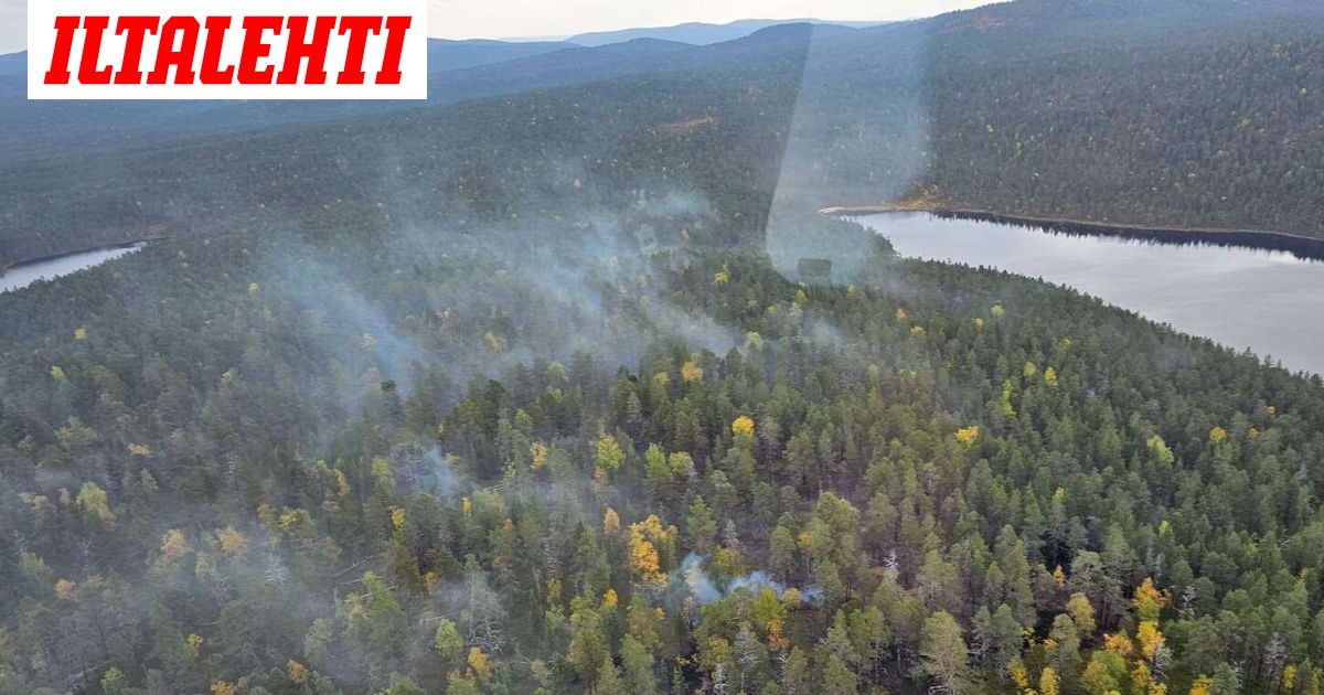 www.iltalehti.fi