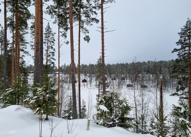 Venäläisliikemies Denis Fokin tavoitteli Saarijärven Ahvenlammelta laajoja maa-alueita. Ahvenlammen rannalla sijaitsee Leiriharjun kiinteistön lisäksi myös mm. iso venäläisomisteinen leirintäalue, joka on ollut avoinna kesäisin. Venäläisliikemies Denis Fokin tavoitteli Saarijärven Ahvenlammelta laajoja maa-alueita. Ahvenlammen rannalla sijaitsee Leiriharjun kiinteistön lisäksi myös mm. iso venäläisomisteinen leirintäalue, joka on ollut avoinna kesäisin.