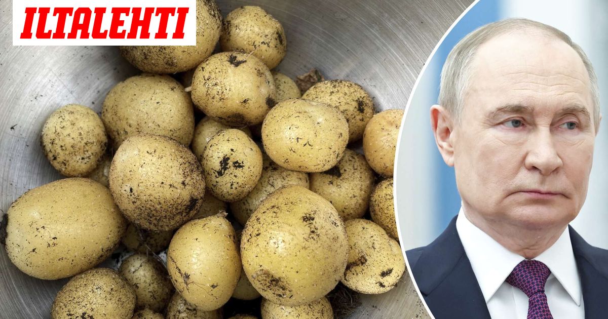 www.iltalehti.fi
