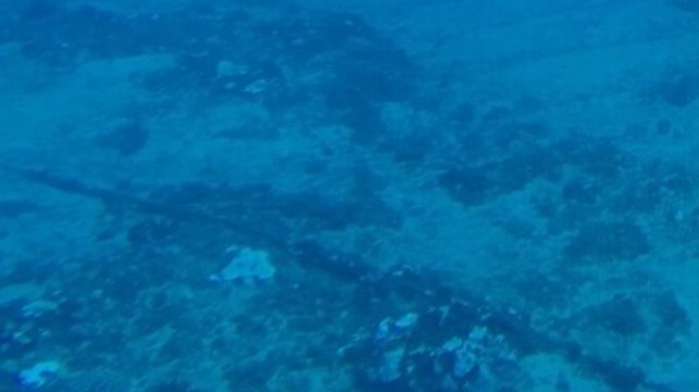 maritime-executive.com