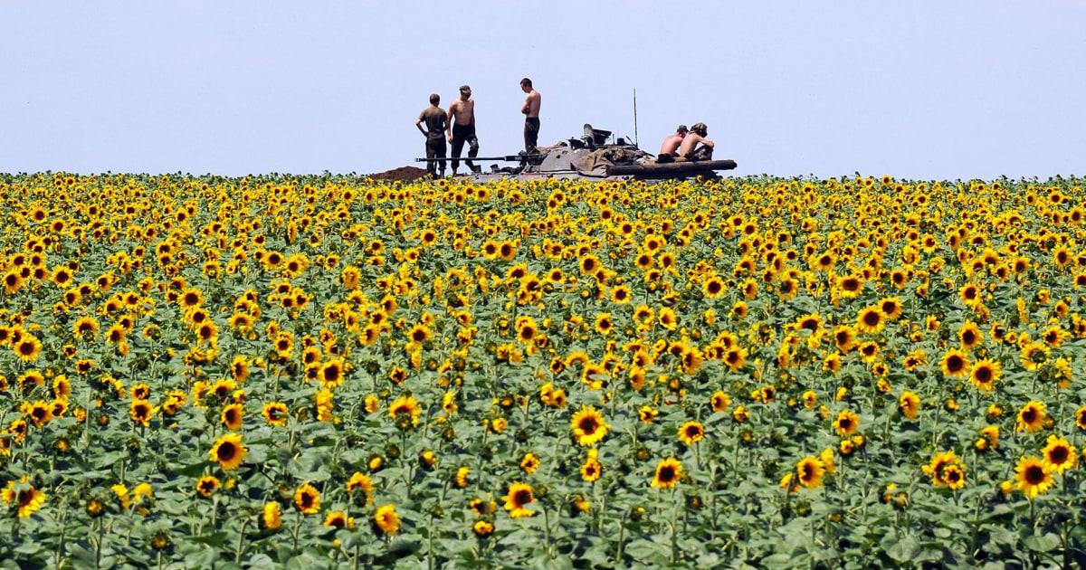 140710-ukraine-sunflowers-soldiers-jms-2355.jpg