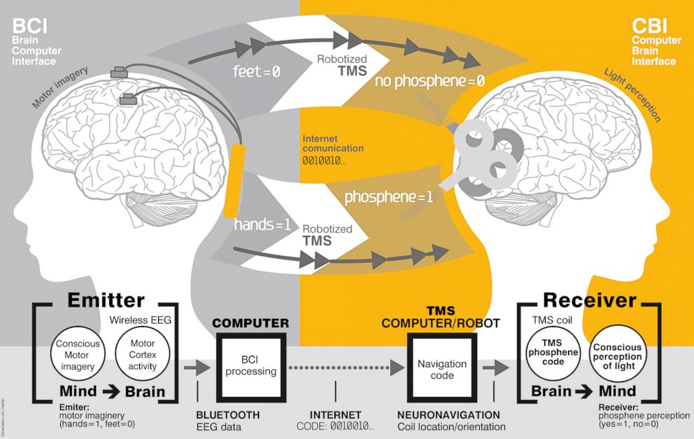 PHOTO: Scientists have succeeded in transmitting thoughts from one brain to another.
