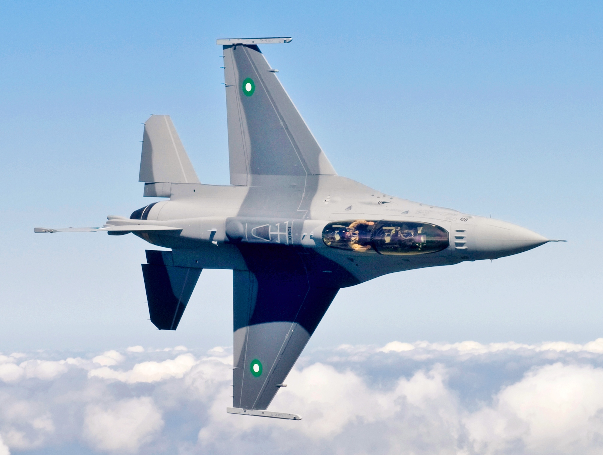 Pakistani_F-16.jpg