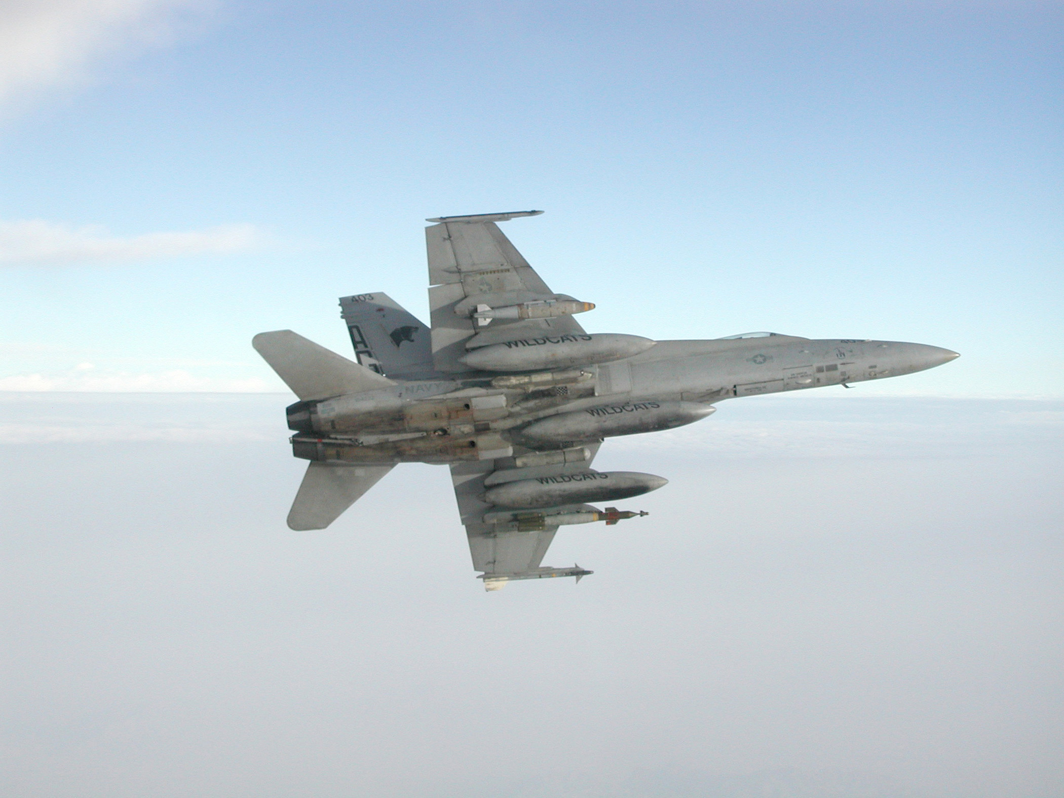 US_Navy_020329-N-9997G-001_F-A-18_conducts_combat_mission_over_Afghanistan.jpg