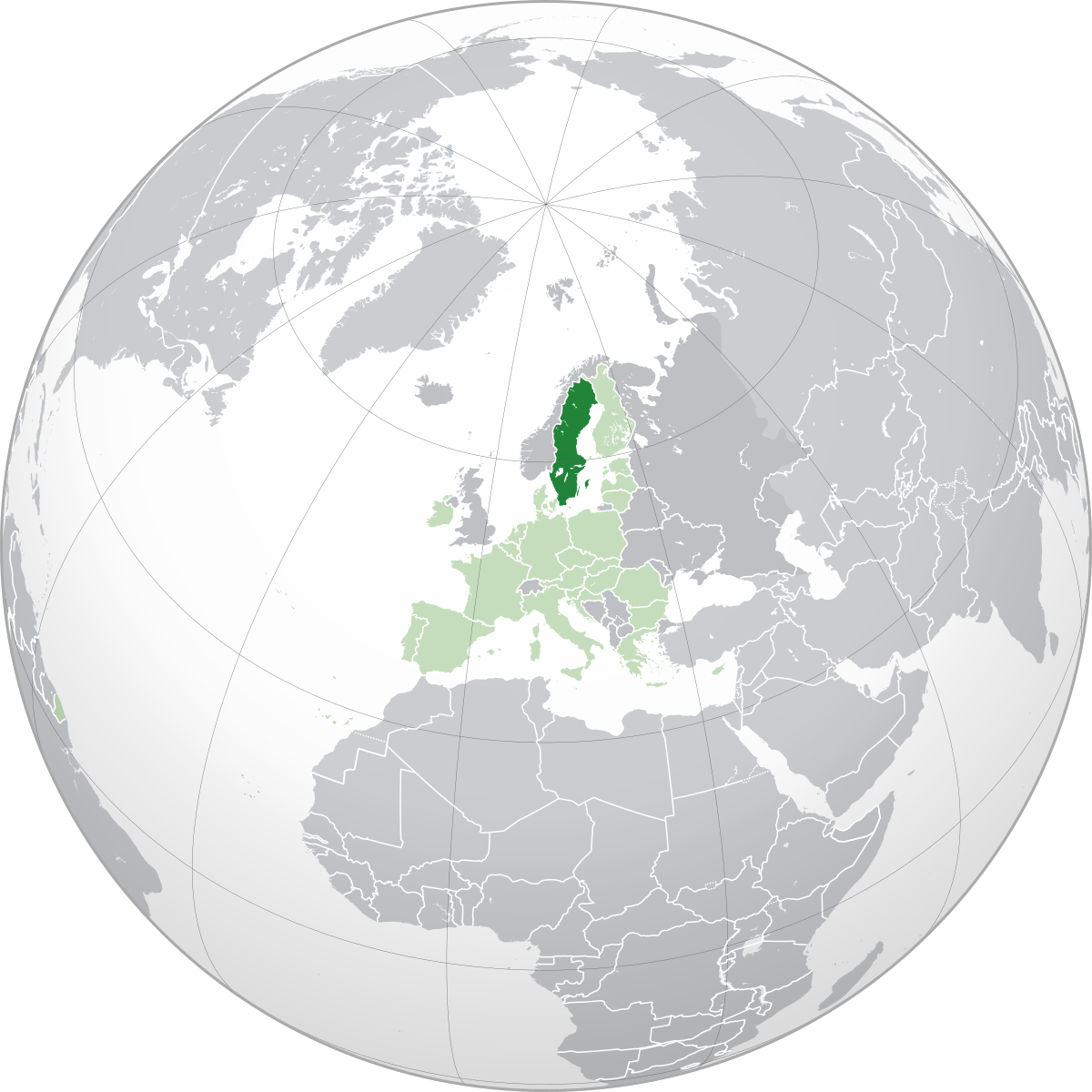 en.wikipedia.org