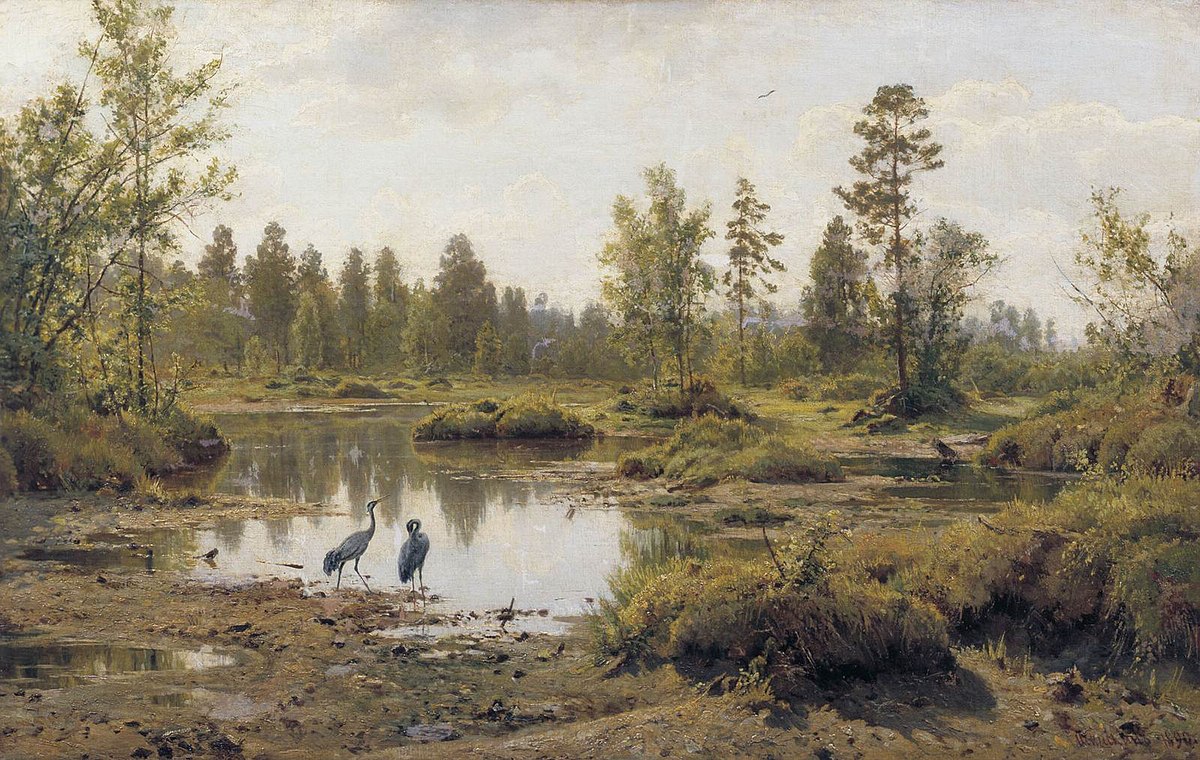 fi.wikipedia.org
