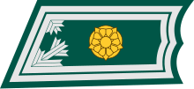 220px-Majuri_kauluslaatta.svg.png