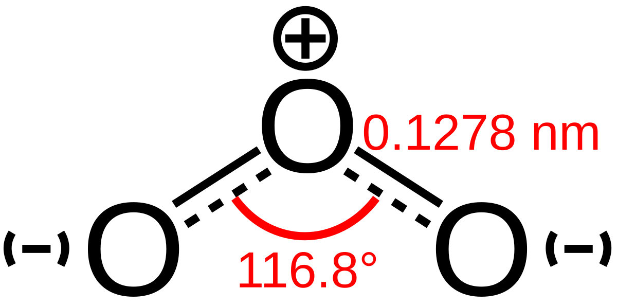 en.wikipedia.org