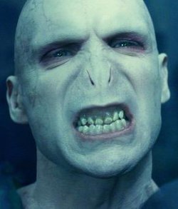 250px-Ralph_Fiennes_Voldemort.JPG