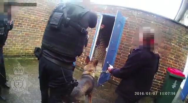 man-attacks-our-officers-with-a-hammer-in-crawley-mp4-00_00_09_09-still002.jpg