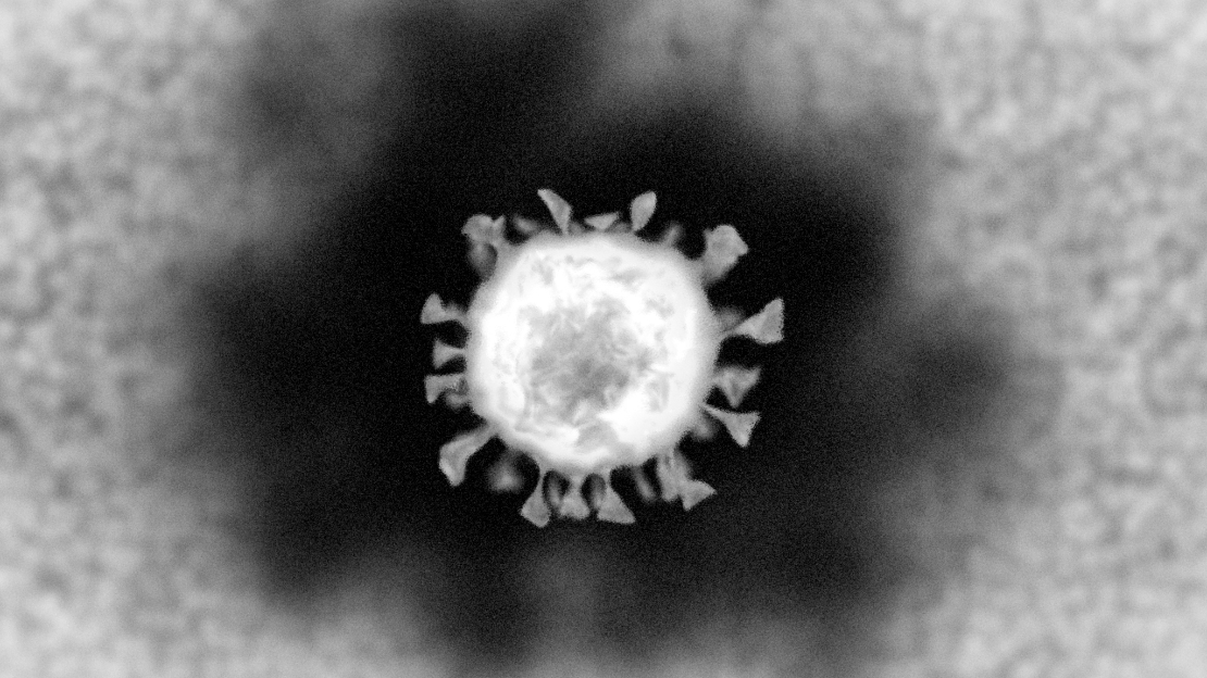 koronavirus-harmaa-1.jpg
